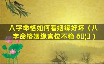 八字命格如何看姻缘好坏（八字命格姻缘宫位不稳 🦁 ）